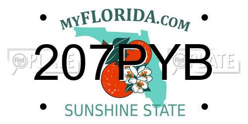 207PYB Florida License Plate