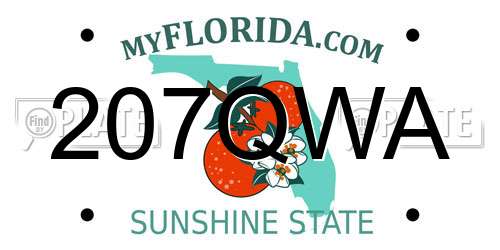 207QWA Florida License Plate