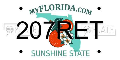 207RET Florida License Plate