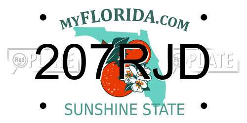 207RJD Florida License Plate