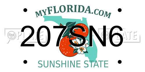 207SN6 Florida License Plate
