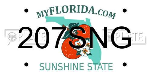 207SNG Florida License Plate