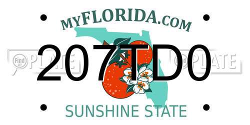 207TD0 Florida License Plate