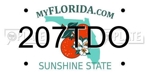 207TDO Florida License Plate