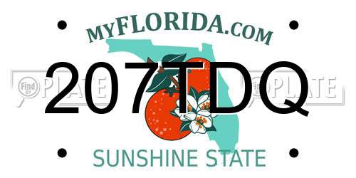 207TDQ Florida License Plate