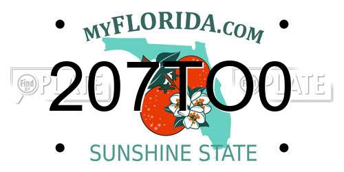 207TO0 Florida License Plate