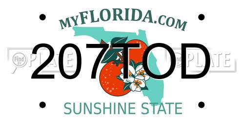 207TOD Florida License Plate
