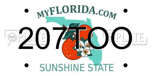 207TOO Florida License Plate