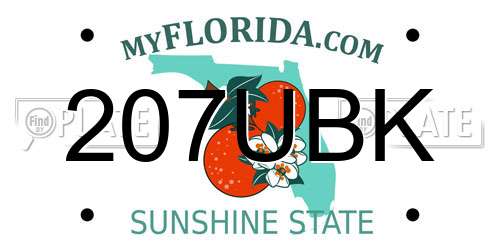 207UBK Florida License Plate