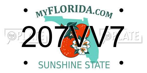 207VV7 Florida License Plate