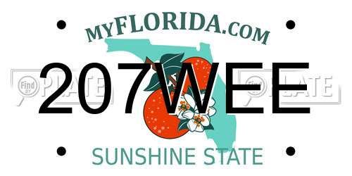 207WEE Florida License Plate