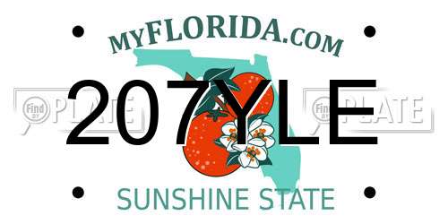 207YLE Florida License Plate