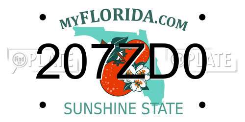 207ZD0 Florida License Plate