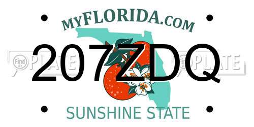 207ZDQ Florida License Plate