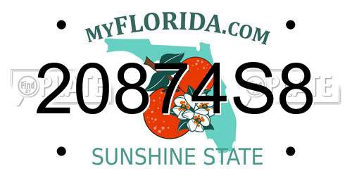 20874S8 Florida License Plate