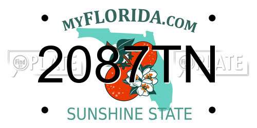2087TN Florida License Plate