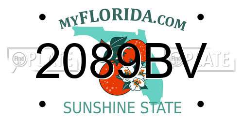 2089BV Florida License Plate
