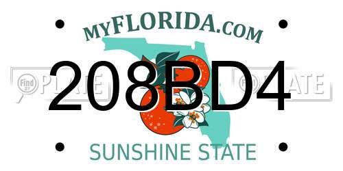 208BD4 Florida License Plate