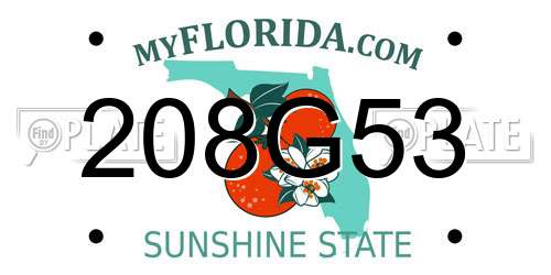 208G53 Florida License Plate