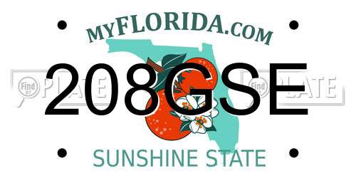208GSE Florida License Plate