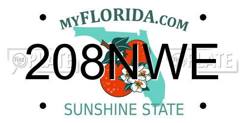 208NWE Florida License Plate