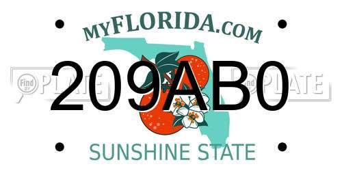 209AB0 Florida License Plate