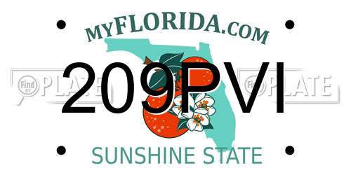 209PVI Florida License Plate
