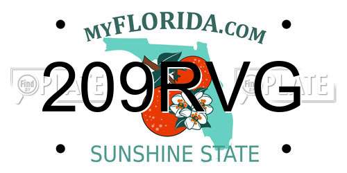209RVG Florida License Plate