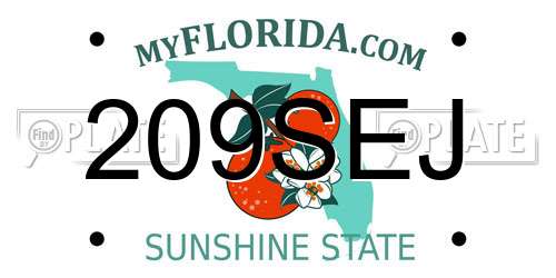 209SEJ Florida License Plate