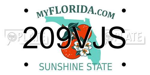 209VJS Florida License Plate