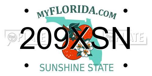 209XSN Florida License Plate