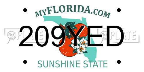 209YED Florida License Plate