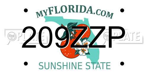 209ZZP Florida License Plate