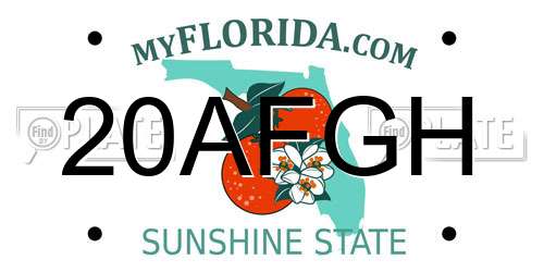 20AFGH Florida License Plate