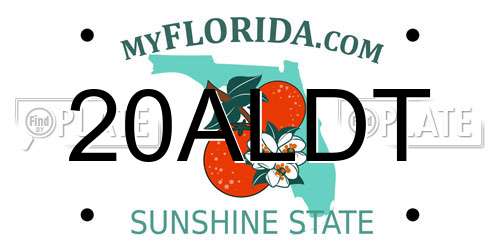 20ALDT Florida License Plate