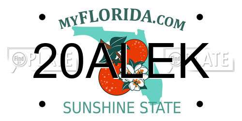20ALEK Florida License Plate