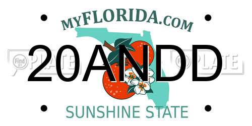 20ANDD Florida License Plate