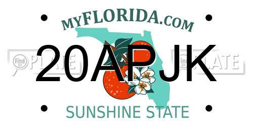 20APJK Florida License Plate