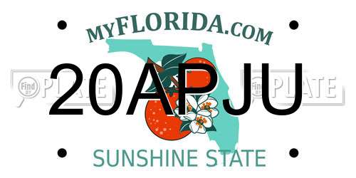 20APJU Florida License Plate