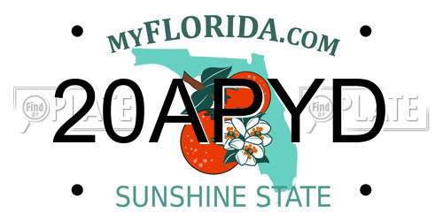 20APYD Florida License Plate
