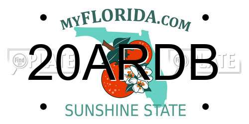 20ARDB Florida License Plate