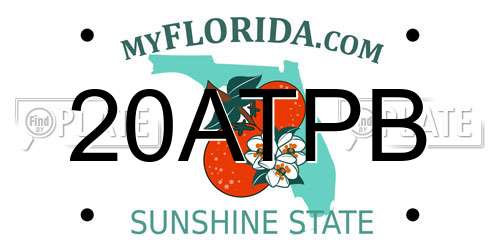 20ATPB Florida License Plate