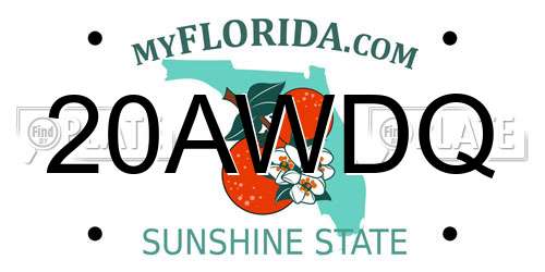 20AWDQ Florida License Plate