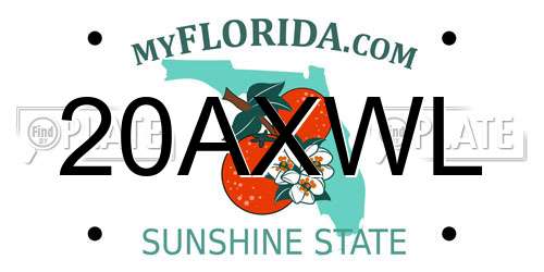 20AXWL Florida License Plate