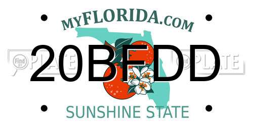 20BFDD Florida License Plate