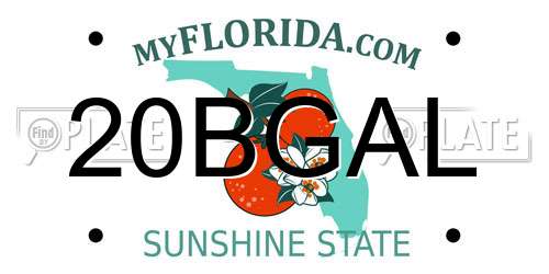 20BGAL Florida License Plate
