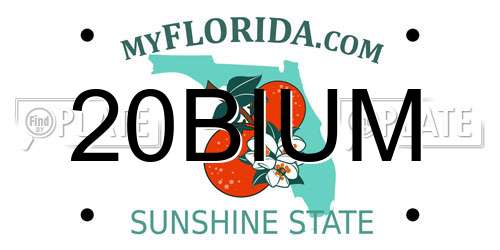 20BIUM Florida License Plate