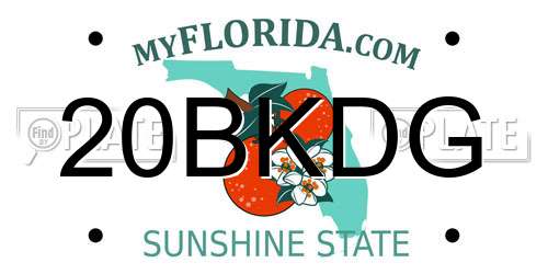 20BKDG Florida License Plate