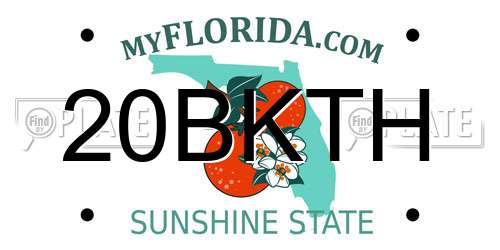 20BKTH Florida License Plate