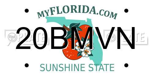 20BMVN Florida License Plate